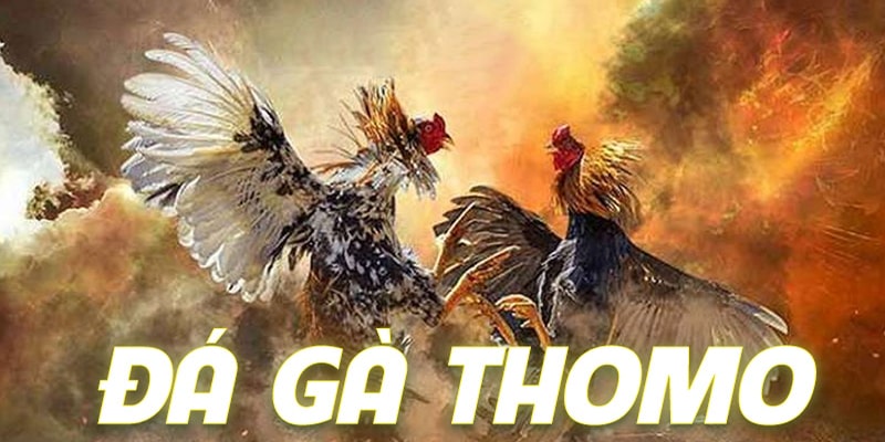 Đá Gà Thomo